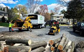 Best Tree Maintenance Programs  in Innotion, VA