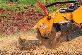 Tree and Shrub Care in Innovation, VA